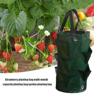 3L Multi-Mouth Vertical Vege/Flower Planter