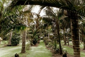 Products: Move and Mantra - Niki Loe - Auckland Wellness Practitioner