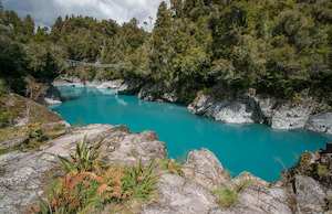 Hokitika Gorge with Bridge + Native Bush