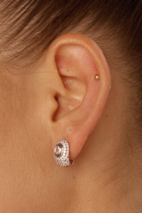 Luv Aj: Pave Jewelle Studs | Silver