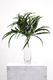 ARTIFICIAL FOLIAGE -  Plastic Vanilla Grass Bush (Red Edge)