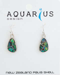 Paua - Sectioned Teardrop Hook Earring