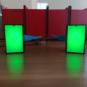 Sim Racing LED Flags Module, 8LEDS, Programmable, 2 Sides