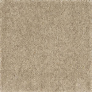 Samples: Cut Pile Wool Carpet Sample Oatmeal