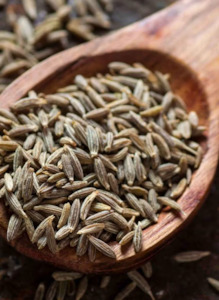 Herbs Seasonings: Cumin seeds