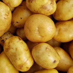 Potatoes (Agria)
