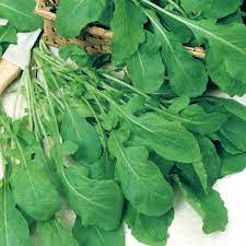Fruits Vegetables: Rocket