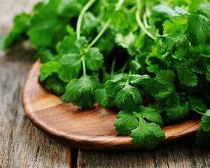 Fruits Vegetables: Fresh Coriander