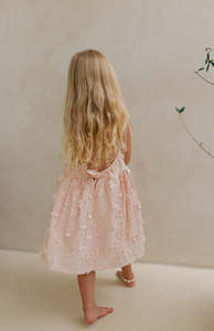 All: ROMY DRESS - SERAPHINE BLUSH