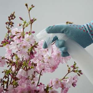 Indoor Gardens: Ikea Tomat Spray Bottle 0.35L, Clear