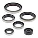 Oil Seal Kit 822269
