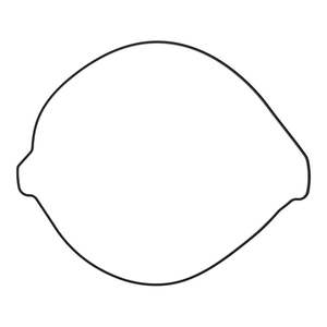 Clutch: Outer Clutch Gasket Kit 819267