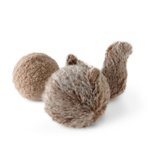 SQUIRREL POP | CHASE & FETCH