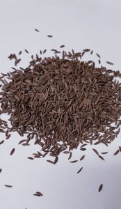 CARAWAY SEEDS WHOLE (4) 3KG PKT - Northern Foods