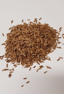 Products: CUMIN SEEDS WHOLE 1KG PKT - Northern Foods