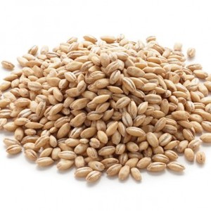 Products: PEARL BARLEY 3KG PKT - Northern Foods
