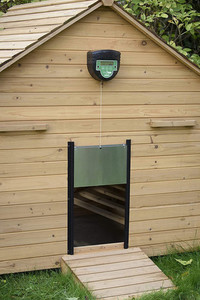 ChickSafe 'Advanced' + Auto Door Combo Northern Hylines