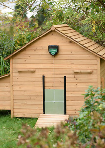 ChickSafe 'Eco' Controller + Door Combo Northern Hylines