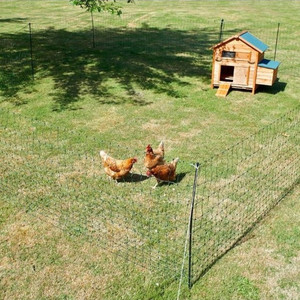 Hotline Green Poultry Fence - 50 Metres Northern Hylines