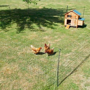 Hotline Green Poultry Fence - 25 Metres Northern Hylines