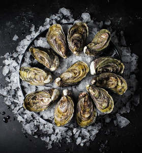 Fresh: Whole Shell Marlborough Oysters (24 oysters)