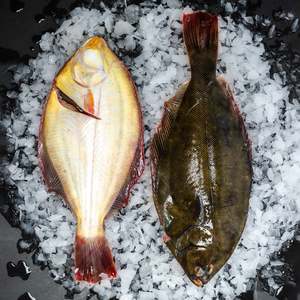 Fresh Flounder (Pack for 2)