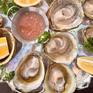 Fresh Bluff Oysters