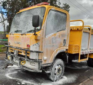 FLEET/TRUCK WASH 20L