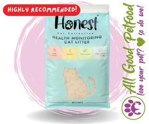 Cat Accessories: Honest Health Monitoring Cat Litter- NEW!
