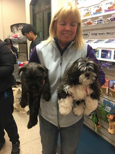 Products: Puppy Preschool