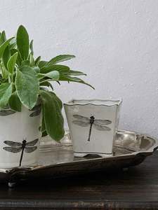 Vases Pots: Dragonfly Small Square Planter