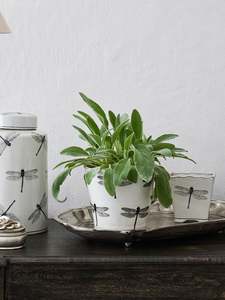 Vases Pots: Dragonfly Round Planter