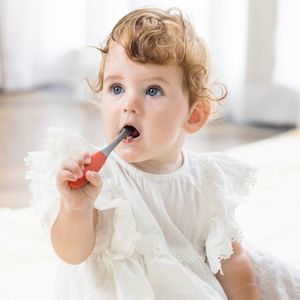 Mombella Silicone Ladybug Training Toothbrush