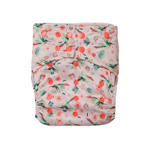 sassy snap reusable cloth nappies