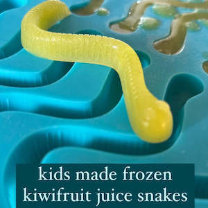 Silicone Moulds - Snakes