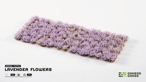 Lavender Flowers