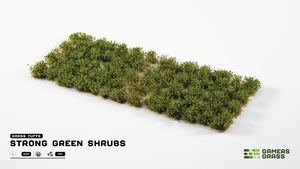 Strong Green Shrubs