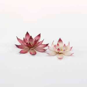Paints Tools: Laser Plants - Lotus Flower