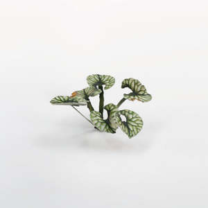 Paints Tools: Laser Plants - Bugloss