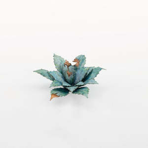 Laser Plants - Blue Agave