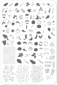 Large Stamping Plates: Autumn is Here CjS135 *CLEARANCE*