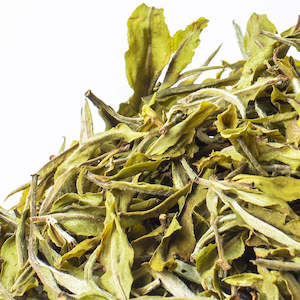 Tea For Skin Health: White Peony Tea (Bai Mu Dan)