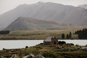 Products: How I create epic content from beginning to end Nut Brown Rose