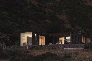 Wellington things to do Nut Brown Rose