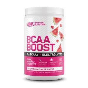 Amino Acids Bcaa: ON BOOST BCAA Best Before 5/25