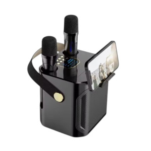 Bluetooth Karaoke Speaker Stereo With Dual Microphones