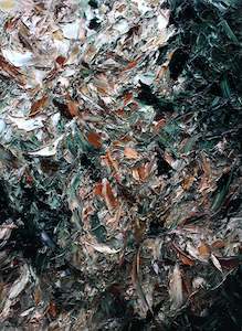 Presenting: Last Flower