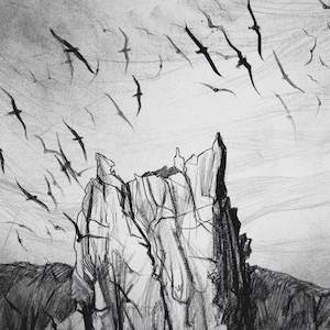 Anna Dalzell: Titi - Dark Places, The Snares