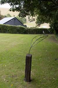 Juliet Novena Sorrel: Gift