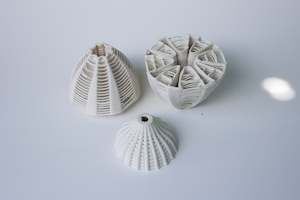 Sculpture On The Peninsula Finale Event: Lot 37 - DIATOZOA, VITOVARARIA {haplozoa, protovaria}